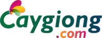 Caygiong.com – by Island Farm Ltd