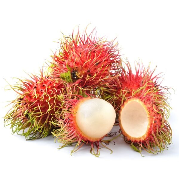 Chôm Chôm Thái Rông Riêng