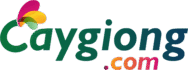 logo caygiong