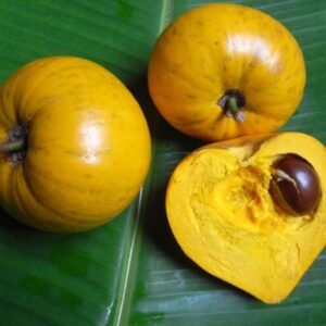 Lekima