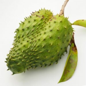 Mãng Cầu Xiêm (Gai)