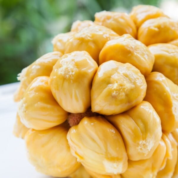 Mít Tố Nữ Hạt Lép