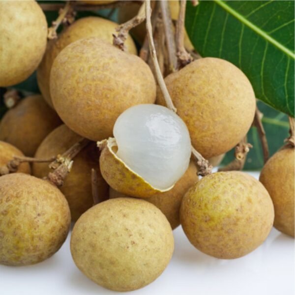 Nhãn Hồng Phúc