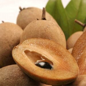 Sapo (Hồng Xiêm) Lồng Mứt