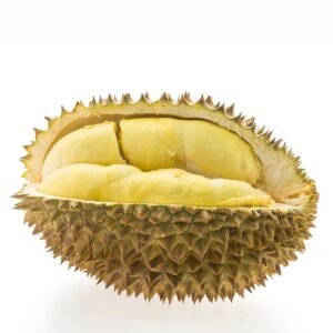 Sầu Riêng Monthong