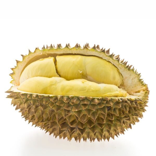 Sầu Riêng Monthong
