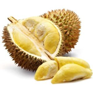 Sầu Riêng Ri6