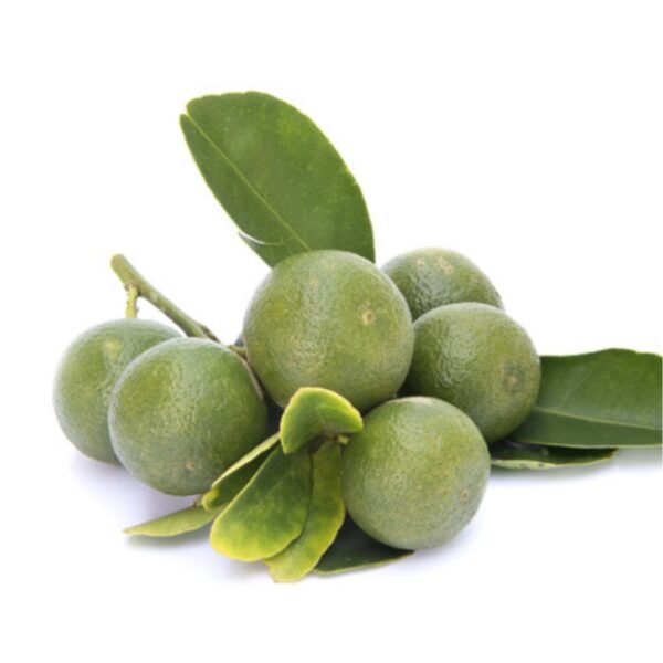 Tắc (Bầu Nhỏ)